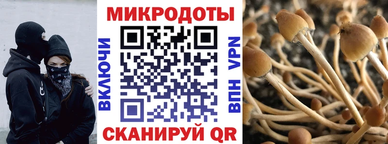 Псилоцибиновые грибы MAGIC MUSHROOMS Рязань
